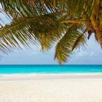 Recently Relocated to Grand Cayman? Here Are Some Things To Do In Your Spare Time