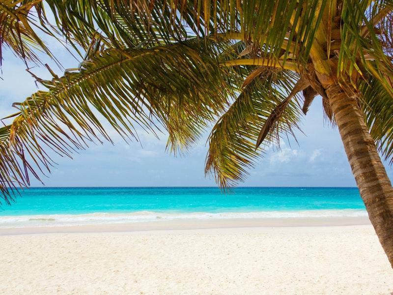 Recently Relocated to Grand Cayman? Here Are Some Things To Do In Your Spare Time