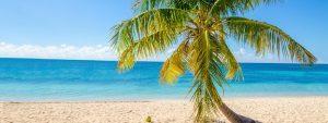 Recently Relocated to Grand Cayman? Here Are Some Things To Do In Your Spare Time